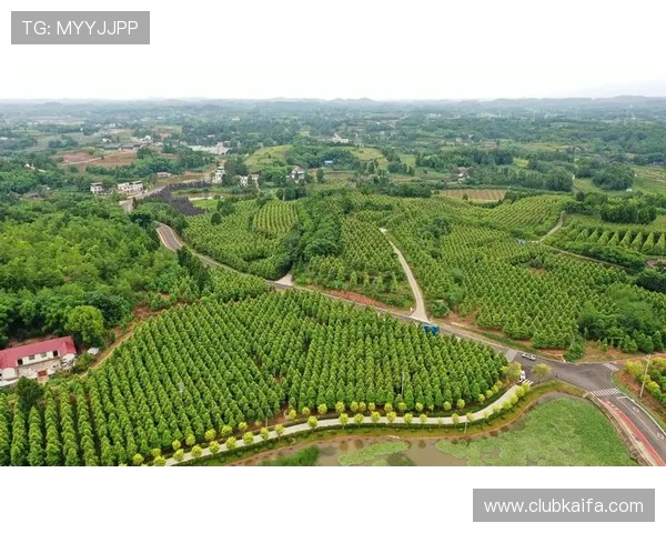 凯发网娱乐app积极响应行业规范,推动绿色健康娱乐环境建设